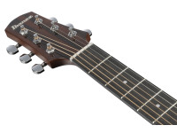 Ibanez AAD51CE-DVS Ibanez AAD51CE-DVS